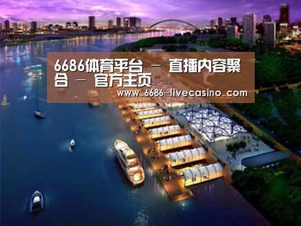 案例展示八