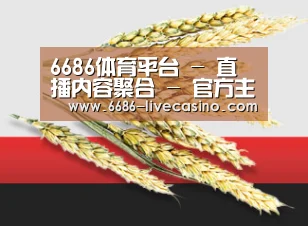 6686体育平台 - 直播内容聚合 - 官方主页
