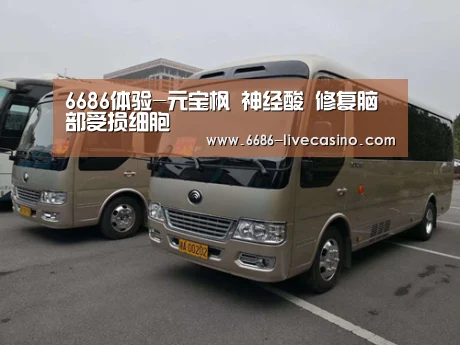 6686体验