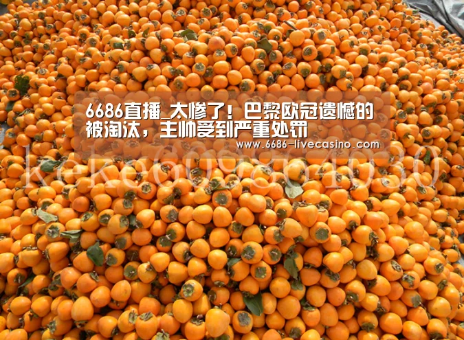 6686平台