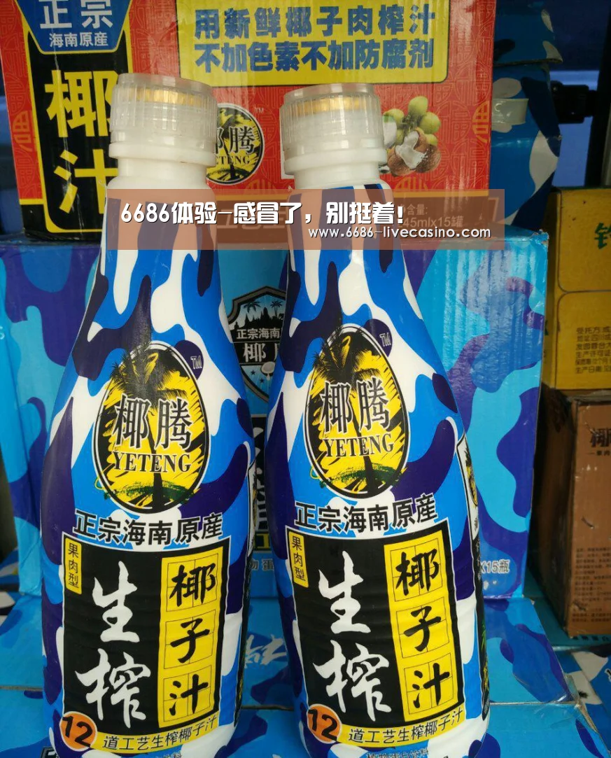 6686体验