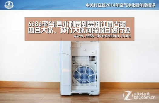 6686平台|县水利局到思勤江同古镇四合大队、坪竹大队河段项目进行现场踏勘(图3) 6686平台