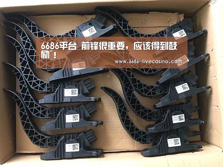 6686体验