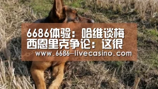 6686体验