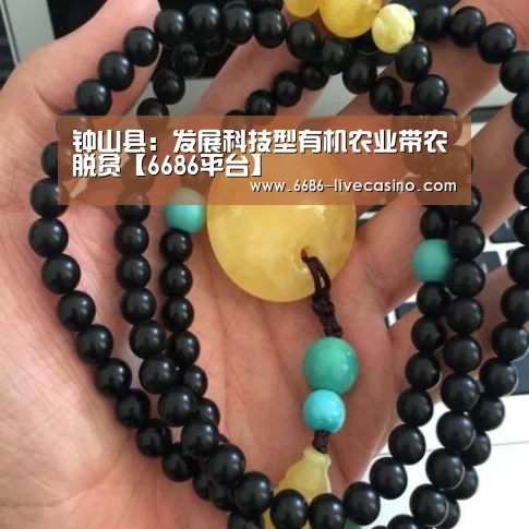 6686直播