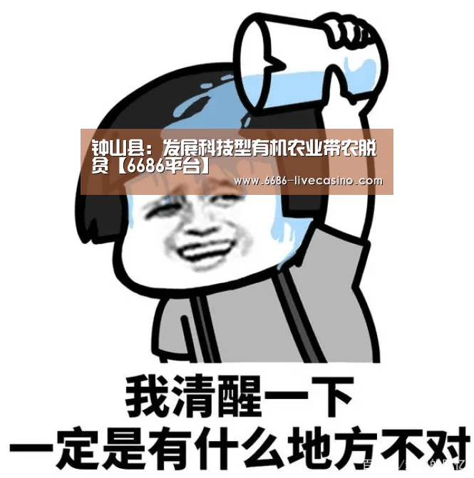 6686平台