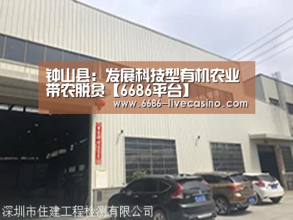 6686体验