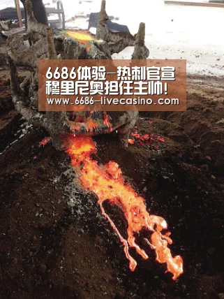 6686平台