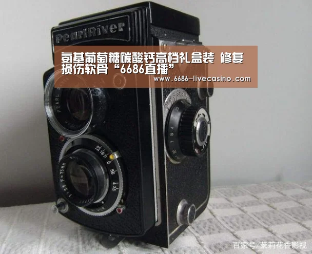 6686品牌