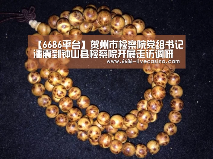 【6686平台】贺州市检察院党组书记潘震到钟山县检察院开展走访调研(图1) 6686体验