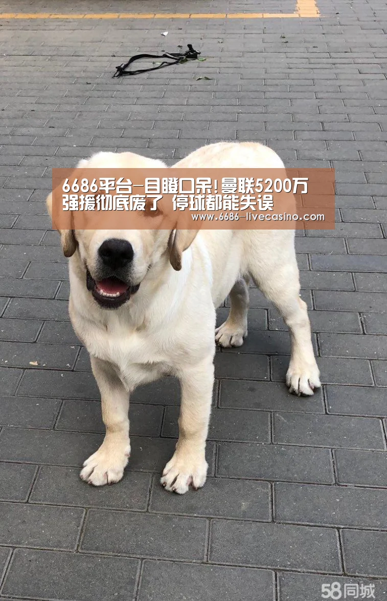 6686平台-目瞪口呆!曼联5200万强援彻底废了 停球都能失误(图4) 6686品牌