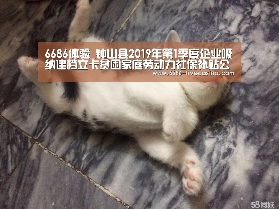 6686平台
