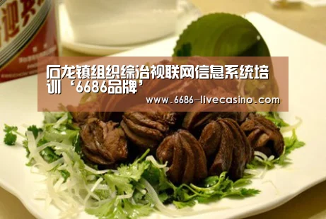 石龙镇组织综治视联网信息系统培训‘6686品牌’(图1) 6686直播