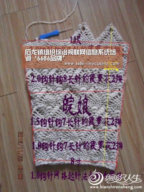 石龙镇组织综治视联网信息系统培训‘6686品牌’(图3) 6686体验