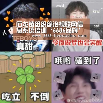 石龙镇组织综治视联网信息系统培训‘6686品牌’(图4) 6686直播