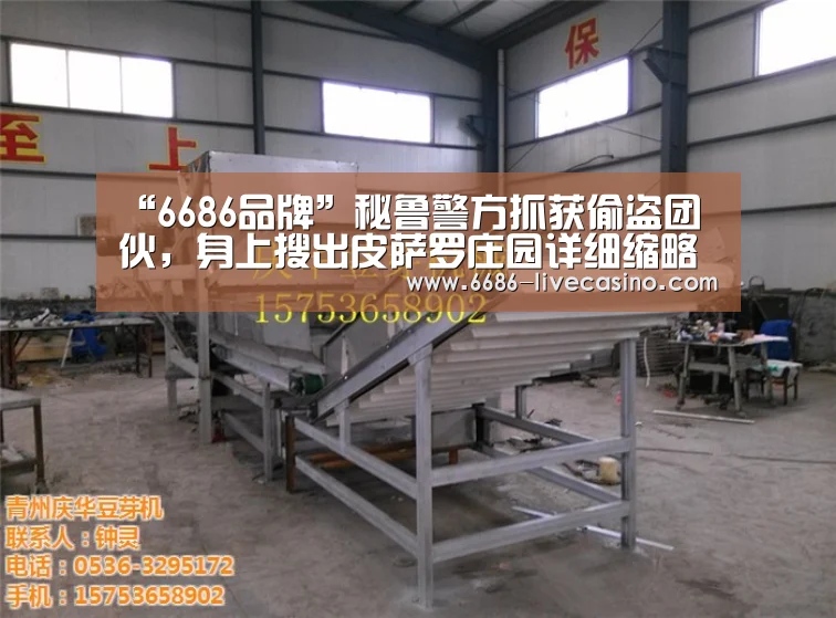 “6686品牌”秘鲁警方抓获偷盗团伙,身上搜出皮萨罗庄园详细缩略图(图3) 6686直播